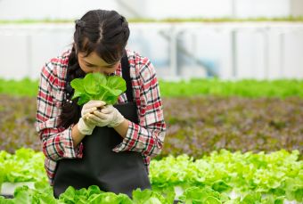 農園型障がい者雇用