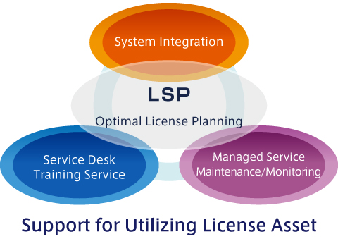 Licensing Solution Partner